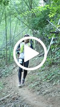 BIB:  <button type="button" onclick="openModal(28039831)" class="btn btn-primary btn-sm float-right" data-toggle="modal" data-target=".modal-high-quality">
                <i class="fa fa-download"></i> Download
                </button>